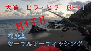 新年初釣り！サーフでのミノーゲームでヒラスズキ、ヒラメGET！今年もナイスフィッシング！