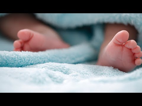 Is adoption free in the US?