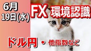 【TAKA FX】ドル円他各通貨の環境認識解説。各種指数、GOLDなど　6月19日(水)