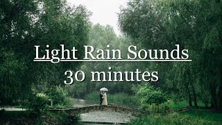 Light Rain Noises For Sleeping | 30 minutes of peaceful rain noises 🌱🌧️