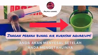 Jangan Pernah Membuang Air Kurasan Aquarium! Lihat Bagaimana Cara Saya Memanfaatkannya