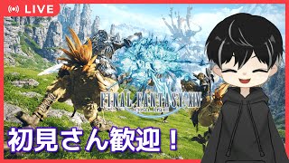 【FF14 ライブ配信 D,C Gaia】暁月レイドに向かうために召喚士レベリング！82から！いろんな人と繋がりたい初心者成長日記 【ファイナルファンタジー14】