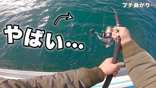 【青物・飲ませ釣り】船からイワシ・サバを泳がせて狙う釣法がやばすぎた…！