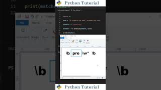 Find Words with Prefixes Using Regex | Python Tutorial
