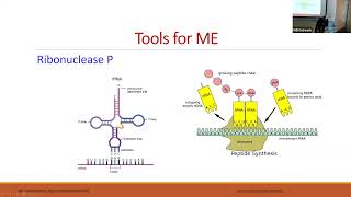 Metabolic engineering: Enhancing microbial systems for the production of bio-chemicals