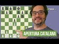 Apertura Catalana | Aperturas de Ajedrez en 15 minutos