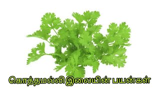 கொத்தமல்லி இலையின்  பயன்கள் |by,Dr.Anita|coriander leaves benefits |Anita's clips