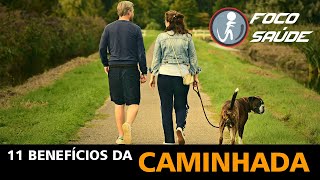 11 Benefícios da caminhada. [Canal Foco Saúde]