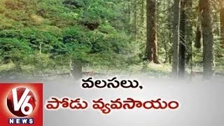 Greenery Vanishes : Warangal Forests about to Disappear due to Human Greed