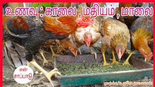 Food idem for nattukozhieveaning, afternun, eveaning