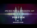 AFRO BEAT TROPICAL INSTRUMENTAL Forever 2021 (  By Daochan Prod )