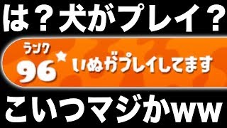 【スプラトゥーン2】名前が「犬がプレイしています」って奴いたんだけど。。。