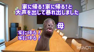 介護施設で帰る！帰る！と暴れる認知症の母【猫ミーム】#猫ミーム#認知症#介護