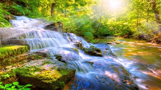 Relaxing Music Tranquility And Nature - RELAX 1 HOURS