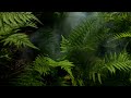 1 Hour of Vocals Humming Background Nasheed
