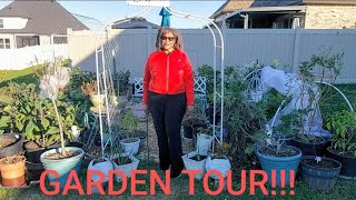 November 2024 GARDEN TOUR! #vegetables #gardening #fallgarden #suburbangardening