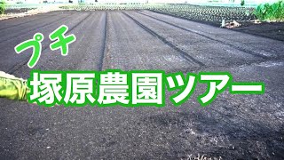 塚原農園の畑ってどんな感じ？