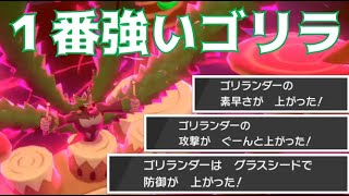 後発打開キョダイマックス超積みエース型ゴリランダー【ポケモン剣盾】