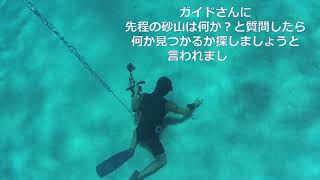 2024年7月19日　慶良間諸島スキンダイビングツアーに参加しました！パラダイス倶楽部の船　那覇北マリーナから慶良間の海へ！