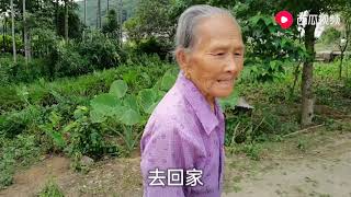 在农村一个老奶奶的日常生活，养几只鸡鸭，在河边洗衣服，静而美