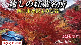 autumn 水沢もみじ谷 癒しの紅葉🍁名所・日本の美しい・colors Healing BGM、2024.12.7 siba life #日本の紅葉 #日本の秋 #紅葉の名所 .