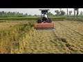 mulcher sonalika paddy straw mulcher in paddy field agricultural machinery