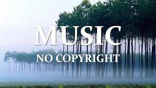 Music No Copyright 0058