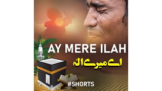 Ae Meray iLah - Poetry of Shaheed - Abdullah bin Umer - Peace Studio Shorts #shorts