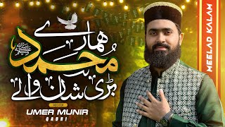 Muhammad Hamare Bari Shan Wale | Umer Munir Qadri | Meelad Kalam 2024