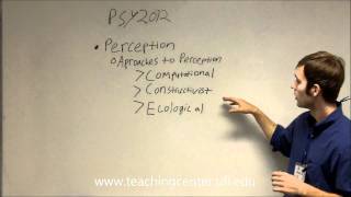 Approaches to Perception