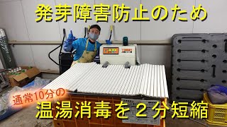 余熱に注意！温湯消毒・紙マルチロール１４２本到着・2021