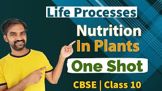 Life processes | Nutrition in Plants | Autotrophic nutrition | Photosynthesis | one shot | CBSE