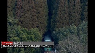 森から出て来るゆふいんの森号を撮ったは良いけど、大切なカメラを壊しちゃった！