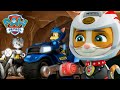 Chascadeur et les chiots à moto sauvent un Chase pris au piège et encore! PAW Patrol dessins animés