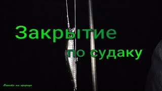 ЗАКРЫЛИ СЕЗОН ПО СУДАКУ 2024 г. Густой туман - темно и страшно :) #судак #воблер #рыбалка