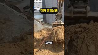 굴착기로 고압 전선 건드렸다!