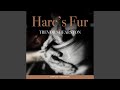 Chapter 4.20 - Hare's Fur