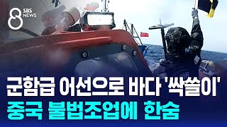 군함급 어선으로 바다 '싹쓸이'…중국 불법조업에 한숨 / SBS 8뉴스