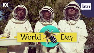 Why are Bees so Important? 🐝 World Bee Day - Behind the News