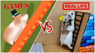 🐹 Hamster Escapes 🐹 | Traps in Real Life and in Games
