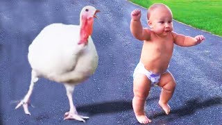 Funny Baby Meet Animals For The First Time || Cool Peachy