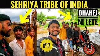 Sehriya Tribe in INDIA  🇮🇳