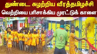 துண்டை சுழற்றிய வீரத்தமிழச்சி - வெற்றியை பரிசாக்கிய முரட்டுக் காளை | Palamedu Jallikattu