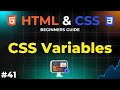 Mastering CSS Variables | HTML and CSS Beginners Guide | IMS Coding