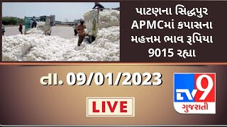 Mandi : પાટણના સિદ્ધપુર APMCમાં કપાસના મહત્તમ ભાવ રૂપિયા 9015 રહ્યા | Tv9News