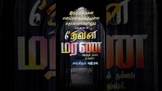 சங்கீதம் 48:14 | ஒரே வசனம்| Orey Vasanam