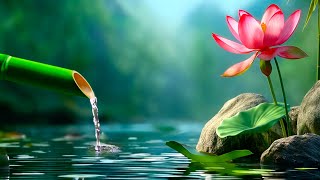 Relaxing Music with Water Sounds for Stress Relief 🌿 Relieve depression, Heals The Mind #2