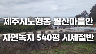 제주시노형동 월산마을안자연녹지 540평 시세절반 급매물 010 4436 0401 제주도부동산 토지 매매