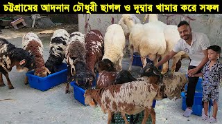 লন্ডনে পড়াশোনা শেষ করে বিদেশি ছাগল এবং দুম্বার সম্বিত খামার করে সফল চট্টগ্রামের আদনান চৌধুরী।