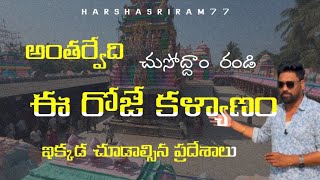 ll Antarvedi Festival ll sri Lakshmi Narasimha swami kalyanam ll #harshasriram77 #antarvedi